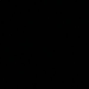 Meet your Posher, Ana